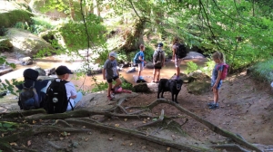 200-68 Verborgene Welten – Entdecke die Geheimnisse des Naturparks! (nachmittags - Herbstferien)